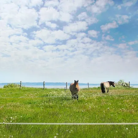Ferienwohnung Am Wald - Ferienwohnung Nummer 01 Lejlighed *